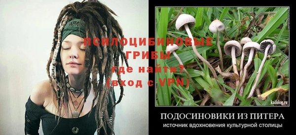 крисы Богданович