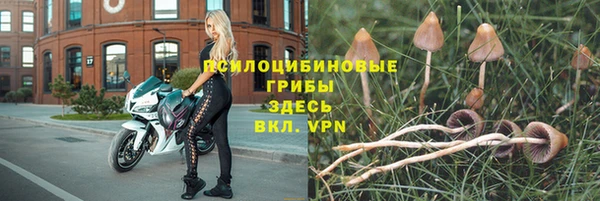MDMA Белоозёрский