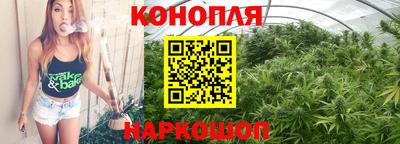 сатива Беслан