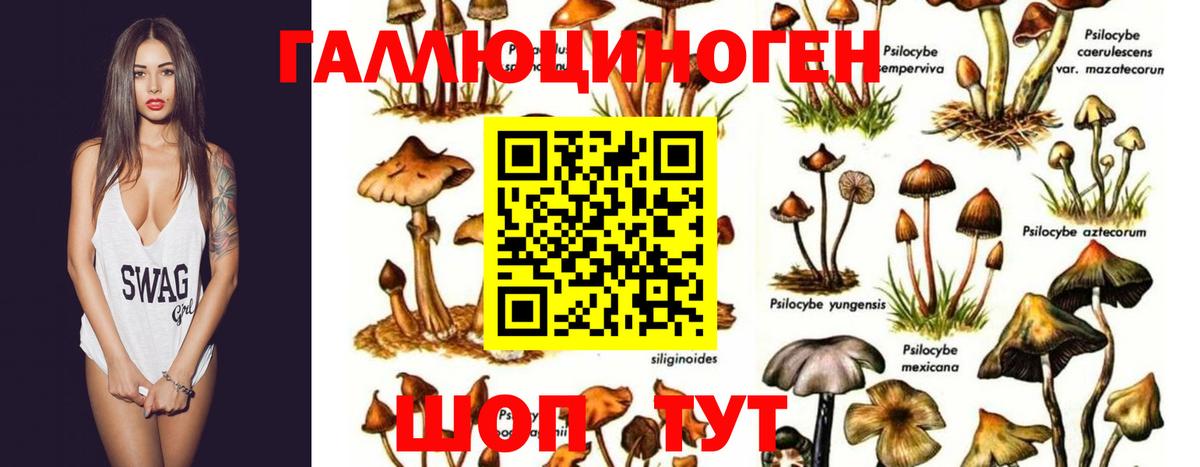 Галлюциногенные грибы Cubensis  Дзержинский 