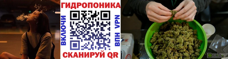 Бошки марихуана гибрид Дзержинский